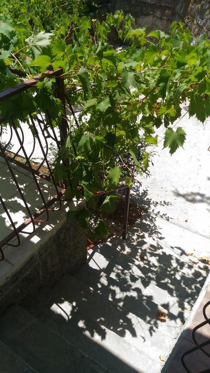 ריסאן Apartment Angelina מראה חיצוני תמונה