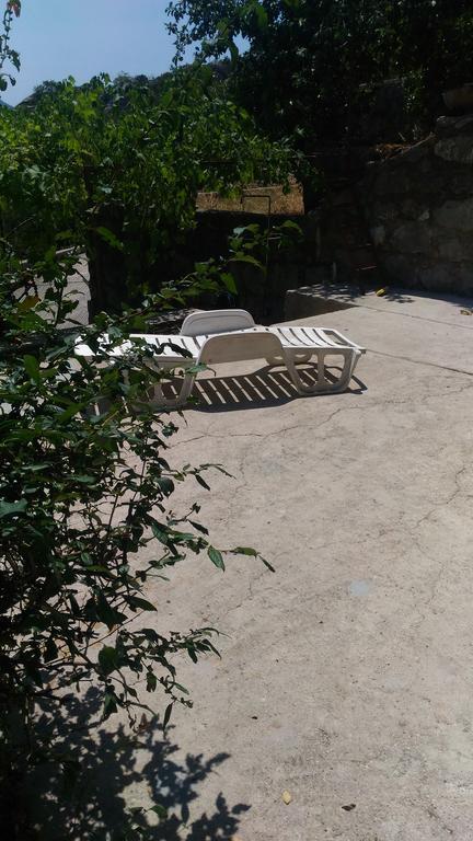 ריסאן Apartment Angelina מראה חיצוני תמונה